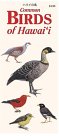 Common Birds Of Hawaii (Hawaii Pocket Guides) 